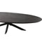 StarFurn Eettafel Brandy Zwart 210cm Ovaal