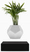 LYFE Planter - Zwevende Plant - Zwart