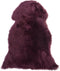 ULURU - Schapenvel - Paars - 65 x 110 cm - Schapenvacht
