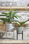 Mica Decorations Era Bloempot - H26 x Ø28 cm - Reliëf - Groen