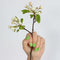 LAUED Nagelstickers - Nail Wraps - 16 Extreem Dunne Nagellak Stickers - Manicure Nail Art Folie - Green Field