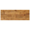 Tafelblad rechthoekig 160x50x3,8 cm massief mangohout