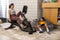 Hometrainer Schwinn 590R - Recumbent Bike - fitness fiets - Ergometer - met JRNY app - met Zwift app - A klasse wattage