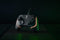 Razer Wolverine V2 - Gaming Controller - Chroma RGB - Zwart