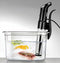 Unold Sous vide stick