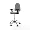 Piqueras y Crespo B2D05RP - Bureaustoel - Hoogteverstelbaar met armleuning - Lichtgrijs