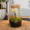 Forest - Terrarium met led - 30cm
