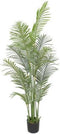 Decoratieve plant DKD Home Decor Palmen Groen PE (50 x 50 x 180 cm)