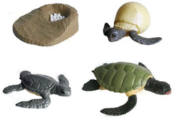 Cycplus Levenscyclus Schildpad Speelfiguren Set