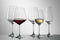 Schott Zwiesel Taste Rode wijnglas - 0.497 l - 6 stuks