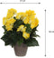 Mica Decorations Begonia - Kunstplant - 30 cm - Geel in grijze pot