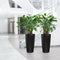 LECHUZA RONDO PREMIUM 32 - Plantenbak - met uitneembare binnenbak - met bewateringssysteem - ALL-IN-ONE set met LECHUZA-PON - scharlakenrood hoogglans