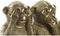 Decoratieve figuren DKD Home Decor Gouden Hars (28,5 x 11 x 19,6 cm)