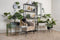 Plant Pot Set Pedestal XL Iron Q1-21