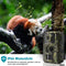 Exclusive by TW - Wildcamera - 4K Full HD - Nachtzicht - IP66 Waterdicht - 16 MP - Groen