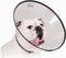 Lampenkap voor honden KVP Saf-T-Clear Transparant (25-38 cm)