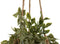 Decoratieve plant Home ESPRIT Polyethyleen Vezel 16 x 16 x 70 cm (2 Stuks)