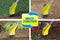 Gloria Gardenboy Plus - Bodembewerker 400W - Werkdiepte 8 cm