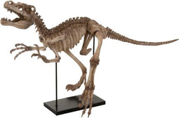 J-Line Dinosaurus Raptor Op Voet Poly Lichtbruin