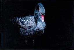 PTMD - Melani Glass Art - Schilderijen - Black