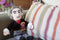 UPG Music L.Thinker - Beethoven