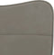 vidaXL - Eetkamerstoelen - 2 - st - fluweel - lichtgrijs