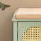 SoBuy FSR129-GR - Schoenenbank - 3 Lades 2 Deuren - Groen