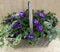 Hengselmand 50x35 cm met zomerbloeiers kleurenmix