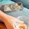 iMoshion Design voor de iPhone 11 Pro hoesje - Let's Go Travel - Zwart / Goud
