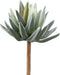PTMD Succulent Plant Aloe Vera Prikker - 18 x 12 x 22 cm - Groen/Grijs