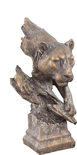 PTMD - Credo Brown - Beelden - Brown