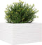 vidaXL - Plantenbak - 80x80x46 - cm - massief - grenenhout - wit