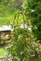 Obelisk plantensteun 3D rond vogel