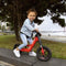 BERG Biky Mini Red Loopfiets - 10 inch - Magnesium frame - EVA+ banden - 2 tot 5 jaar - Rood