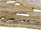 Tapijt DKD Home Decor Jute Katoen Boho (160 x 160 x 0.5 cm)