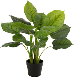 J-Line plant Pothos Plant In Pot - kunststof - groen