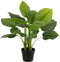 J-Line plant Pothos Plant In Pot - kunststof - groen