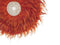 Beliani JUJU - Wanddecoratie - Oranje - Veren