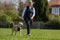 Halti No Pull Harnas Zwart - Hondenopvoeding - Medium
