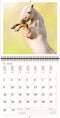 2026 Kalender schrijven 30 x 30 paarden - gratis 2025