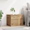 vidaXL - Opbergdoos - met - Deksel - Artisan - Eiken - 60x42x46 - cm - Gelaagd - Hout