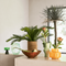 Urban Nature Culture Decorative bowl Escala Brown / Ceramic