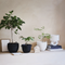 Urban Nature Culture Decorative pot Confit Black Black / Ceramic