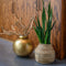 Urban Nature Culture Planta decorative Cereal 5-stem Natural / Banana leaf