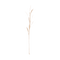 Urban Nature Culture Planta Olive, 8 petals Natural / Palm leaf