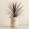 Urban Nature Culture Pot Jord Natural / Ceramic