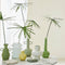 Urban Nature Culture - Vaas Bulb - Glas