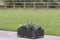 Feel Furniture – Buiten plantenbak – Beta – Zwart 40x40x23 cm