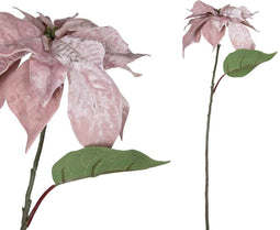 PTMD Leaves Plant Poinsettia Kunsttak - 13 x 27 x 70 cm - Velvet roze