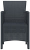 vidaXL - Tuinsetjes - 2 - st - Anthraciet - Poly - Rattan